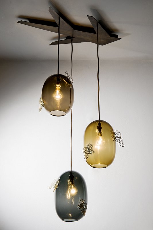 Phototaxis - in collaboration with Lynne MacLachlan